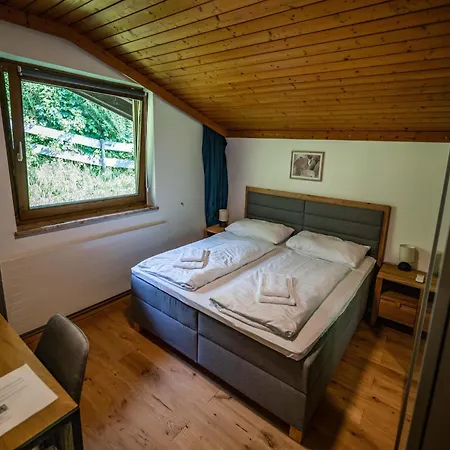 Apartment Double In By The Steinernes Meer, Cleaning Included Saalfelden